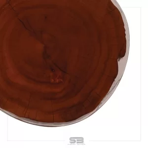Mesa Resinada de Centro/ Cabeceira Vaduz - Madeira Maciça e Pés de ferro Diâmetro 48 CM